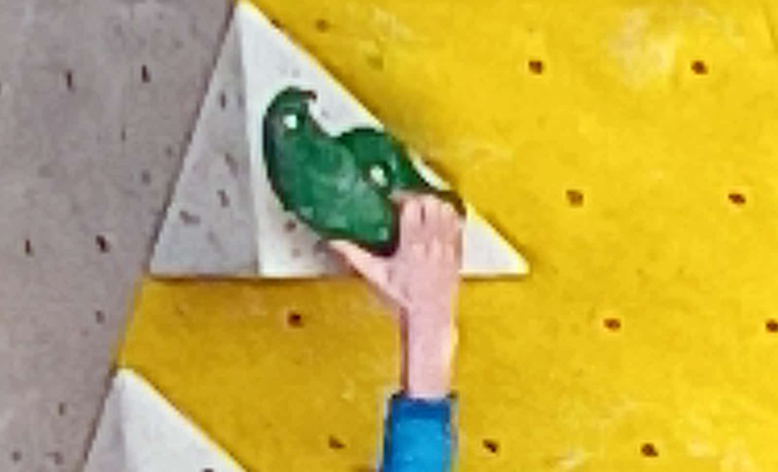Read more about the article Kids Cup Bouldern