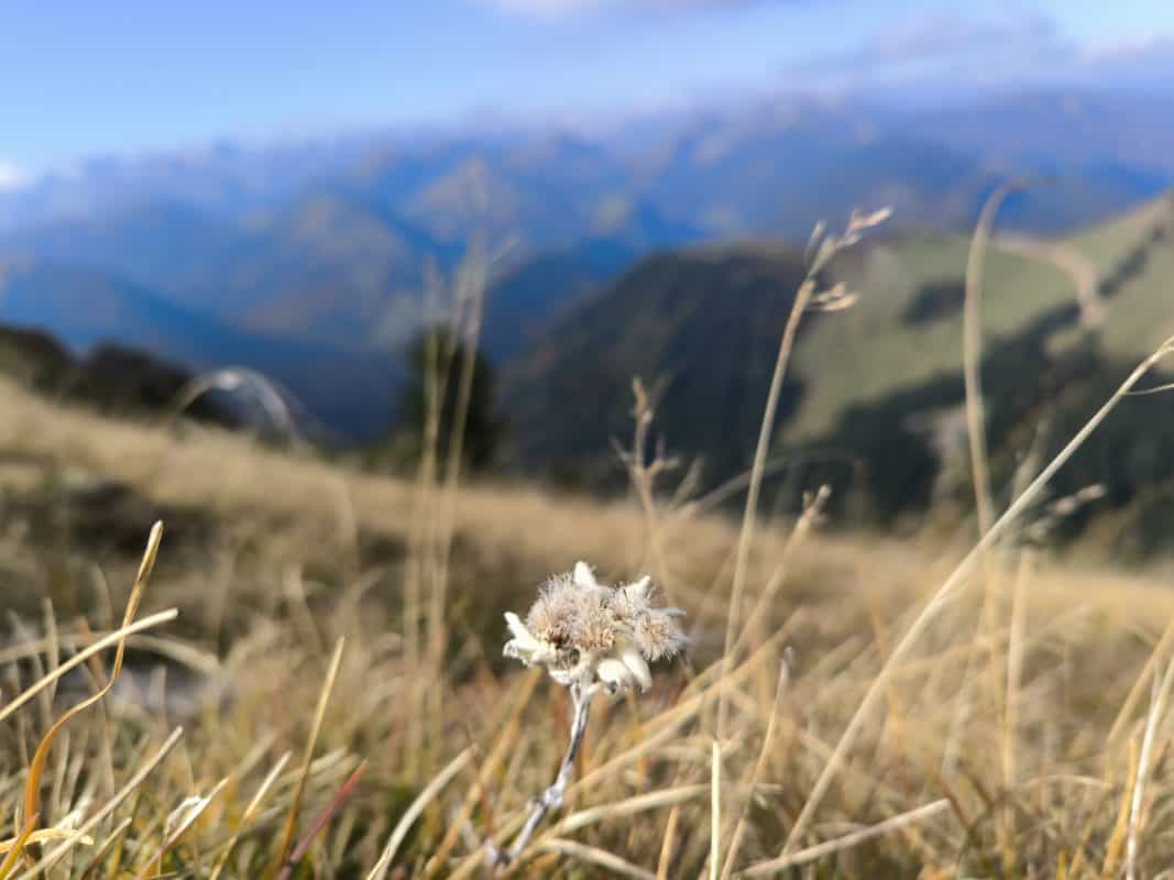 Mehr über den Artikel erfahren Herbstzauber im Karwendel