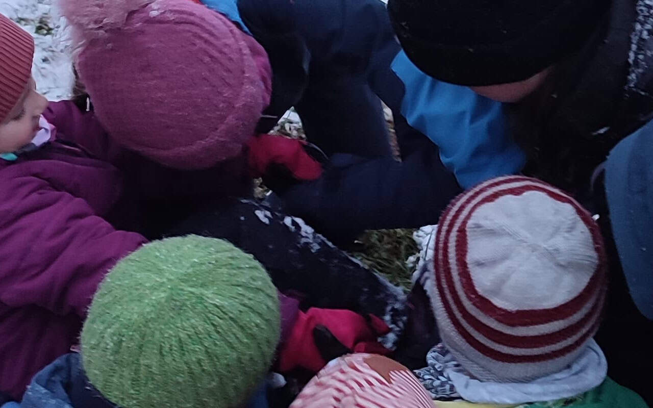 Mehr über den Artikel erfahren Penzberger Wolptertinger