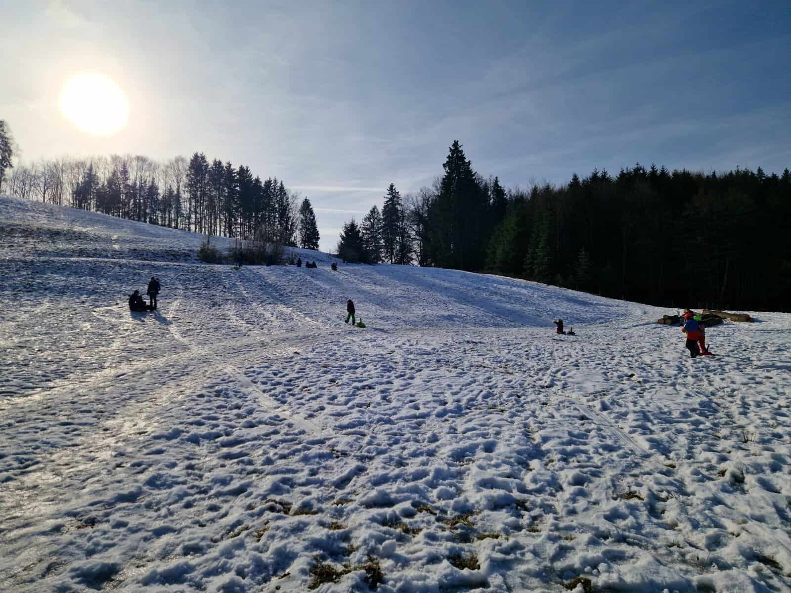 Mehr über den Artikel erfahren Bergkatzen und Schneewölfe gehen rodeln