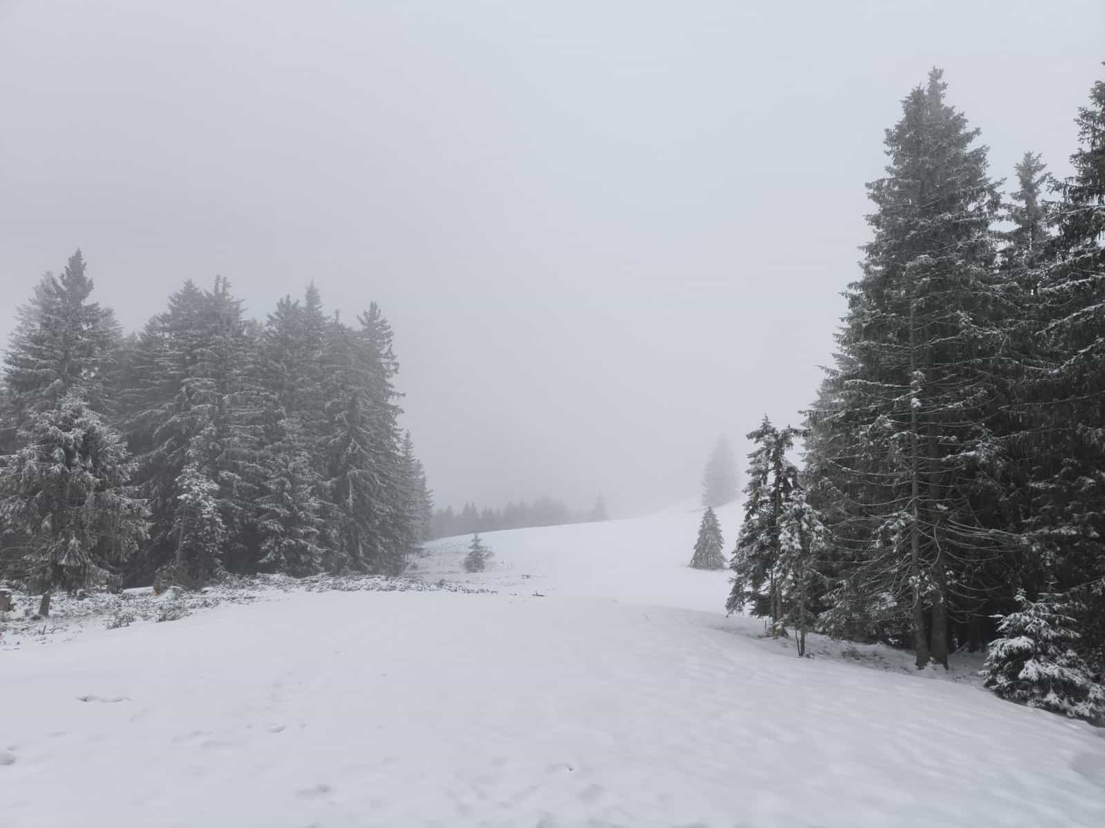 Mehr über den Artikel erfahren Besuch der Sektion Breslau auf der Neulandhütte