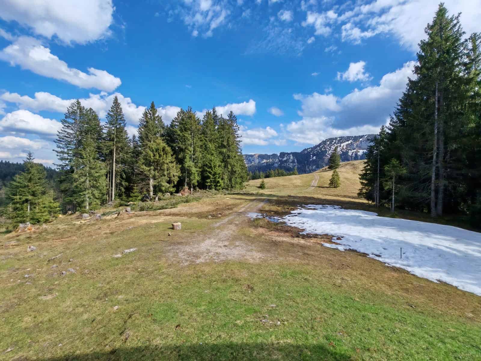 Mehr über den Artikel erfahren Capras auf der Hütte